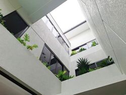Henry Park (D10), Terrace #557816831